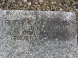 image of grave number 636268